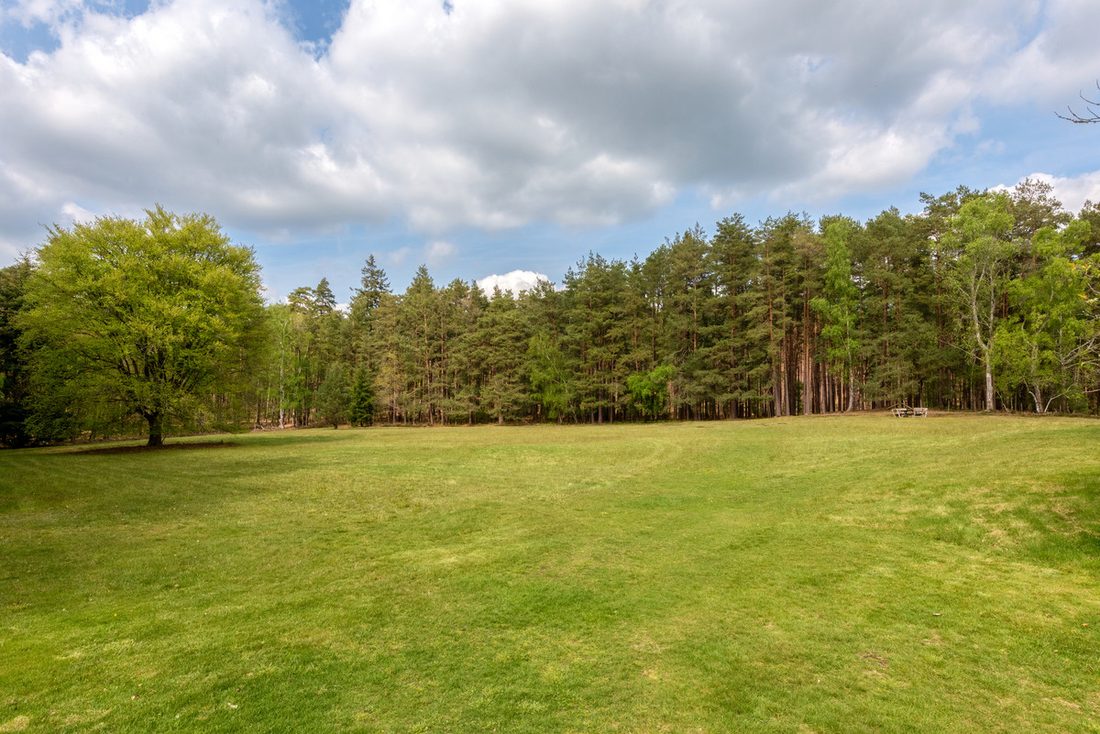 Open parkland glade