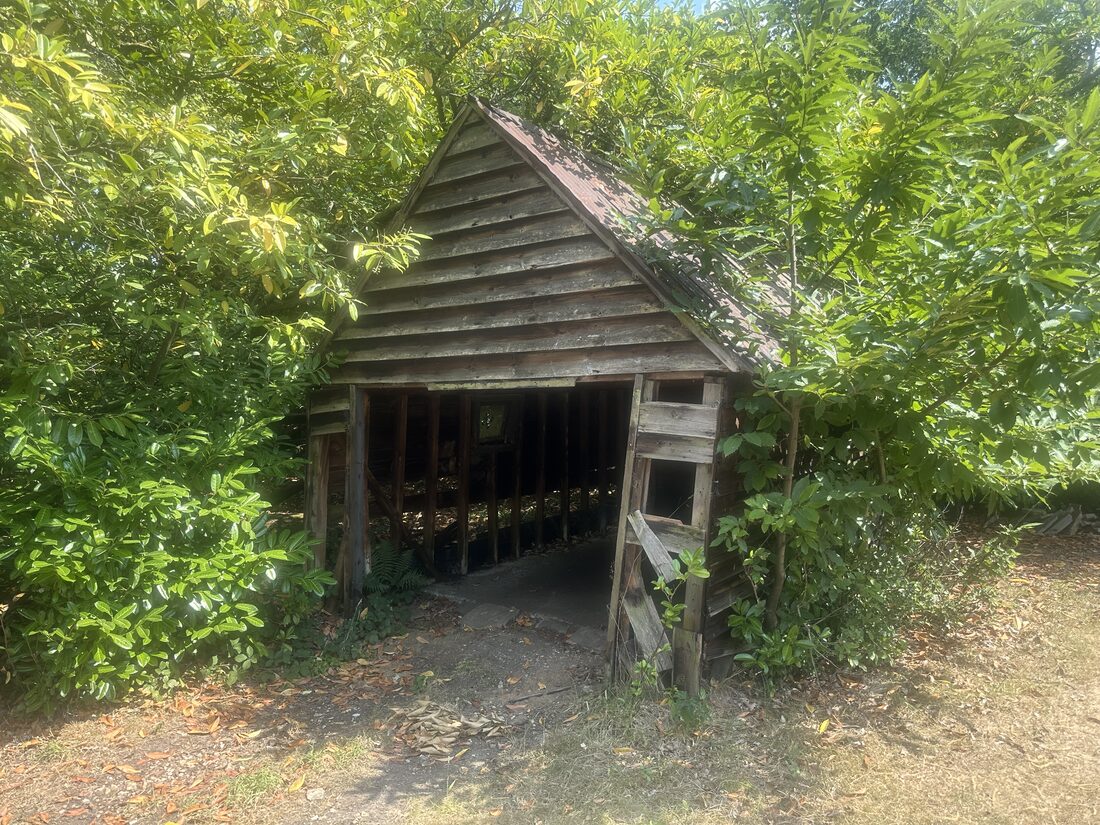 Remote timber cabin in the woods