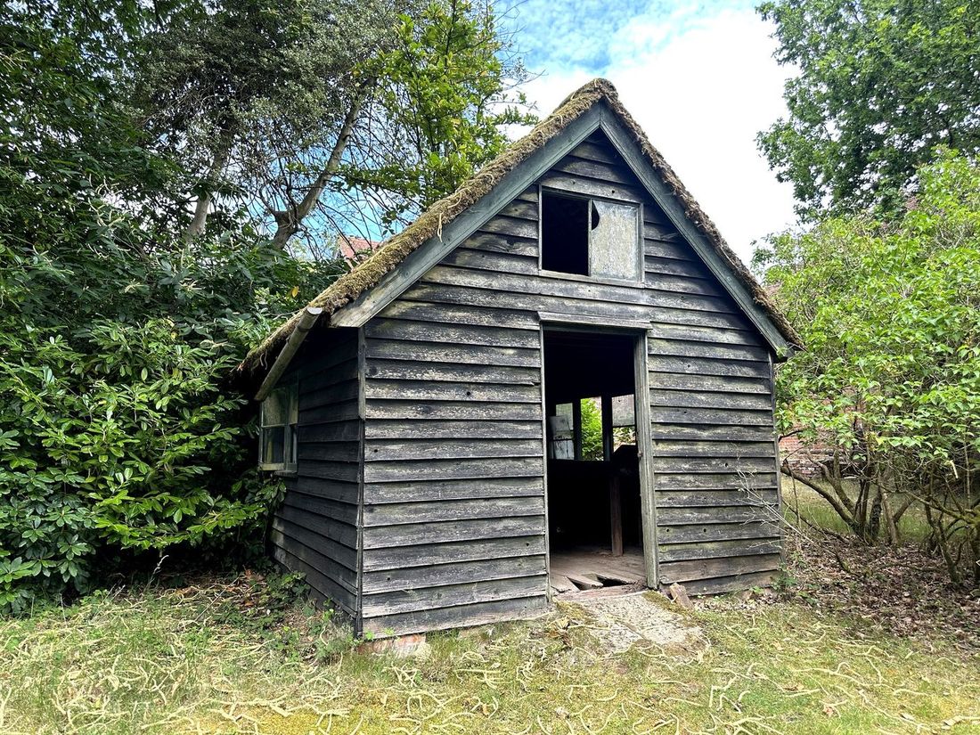 Spooky abandoned timber cabin in the woods