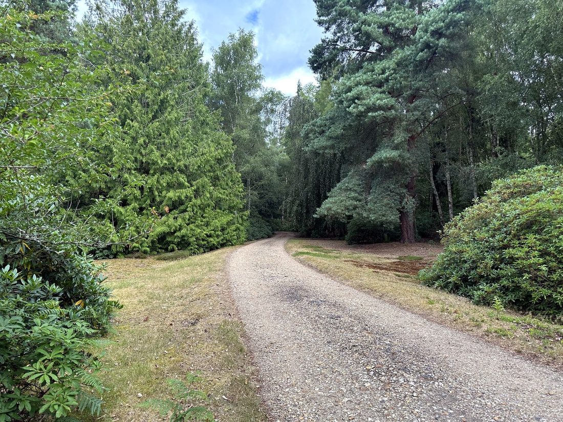 Private drive through the woodland