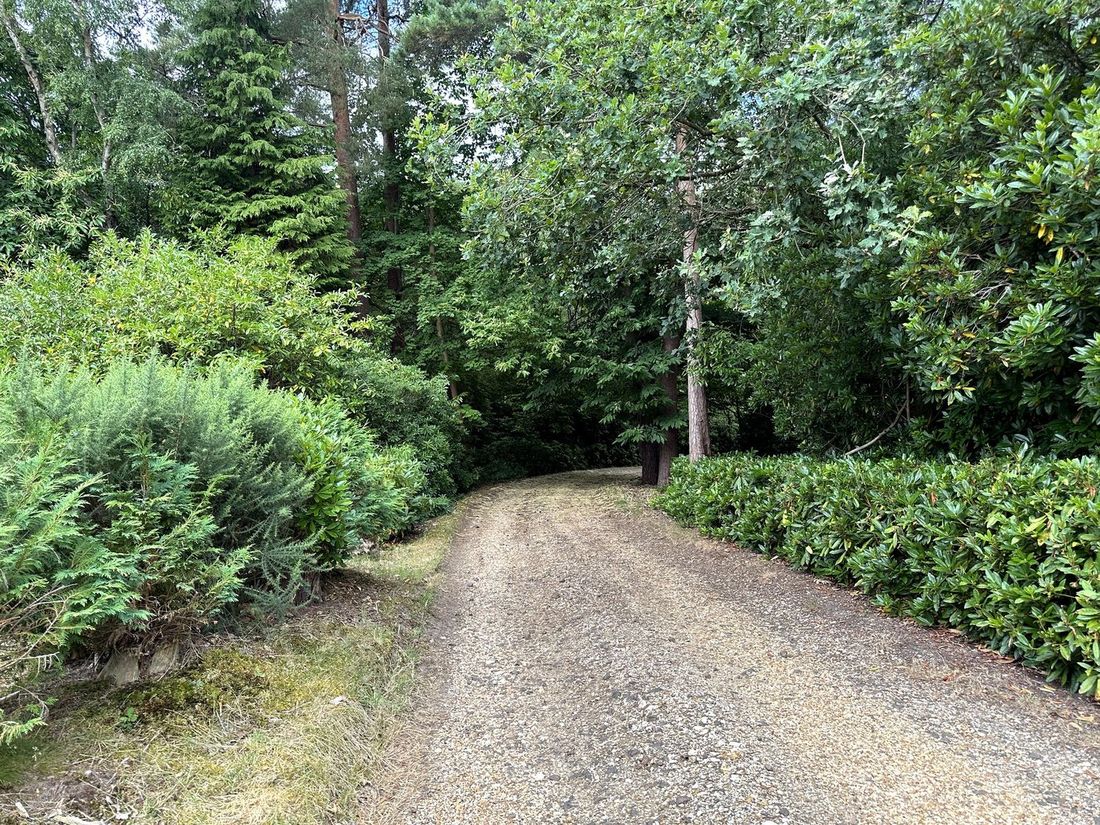 Wooded driveway approach